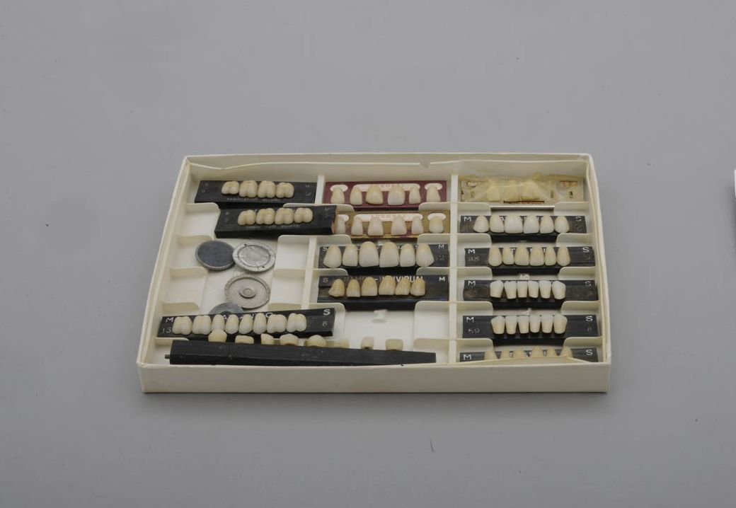 Conjunto real de dentes artificiais para montagem protética